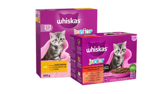 Junior Product Bundle