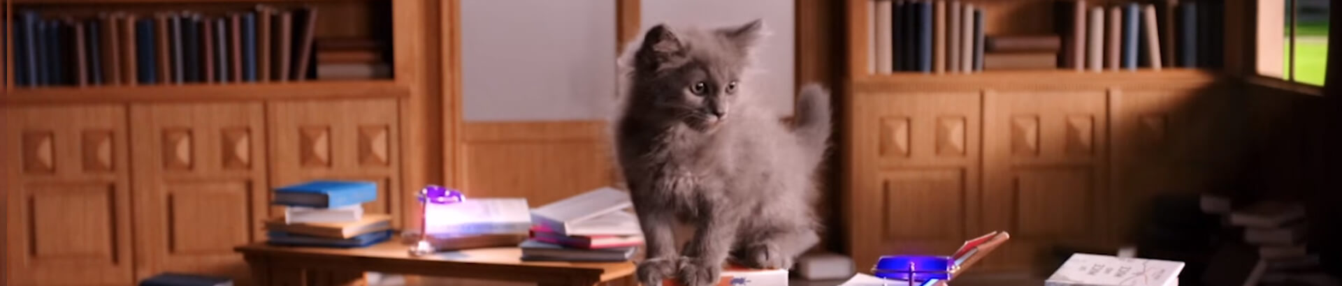 Killing | Whiskas DK